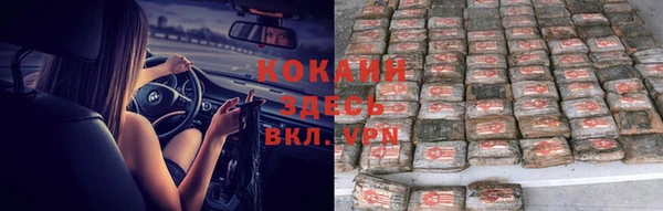 spice Богородицк