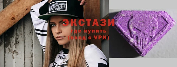 spice Богородицк