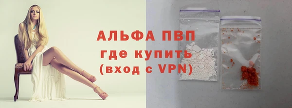 spice Богородицк