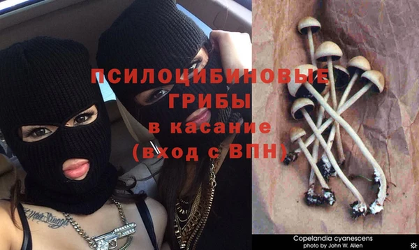 хмурый Богородск