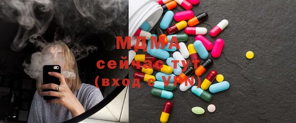 spice Богородицк